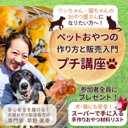 早野美幸
